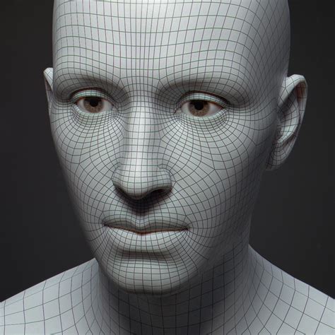 3d Model Human Bust Portrait Turbosquid 1592531