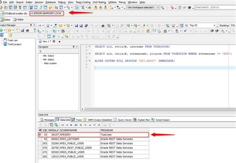 Why And How To Kill A Session In Oracle