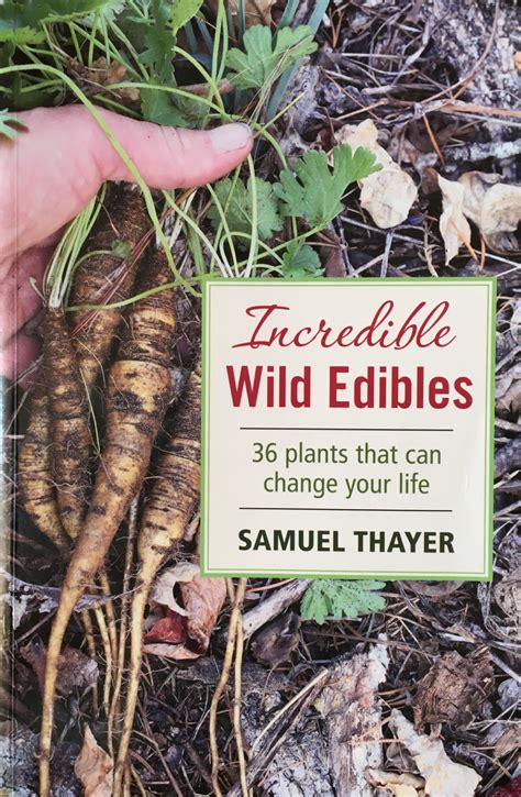 Samuel Thayers ‘incredible Wild Edibles Wild Food Girl