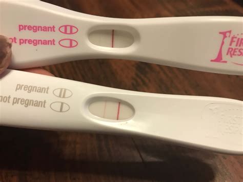 How Long Does A Digital First Response Pregnancy Test Take Pregnancywalls