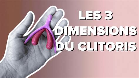 Les 3 Dimensions Du Clitoris Youtube