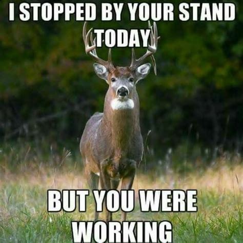 the 20 best deer hunting memes so far hunting quotes funny hunting pics