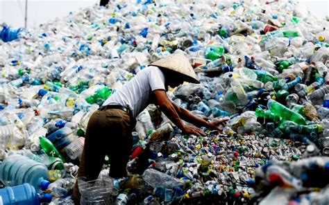 Malaysia recycling suppliers , include east coast oil recycle , cheong kah hing , hsrs enterprise sdn. Plastic waste: Govt forms committee to look into recycling ...