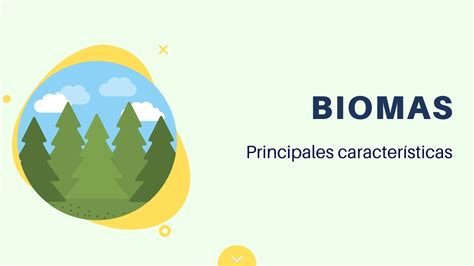Biomas Clasificaci N Y Principales Caracter Sticas Youtube