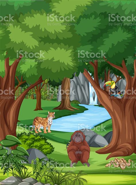 Forest Scene With Different Wild Animals Stock Illustration Download
