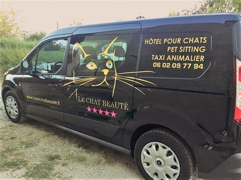 Taxi Animalier Hôtel Chat Beauté