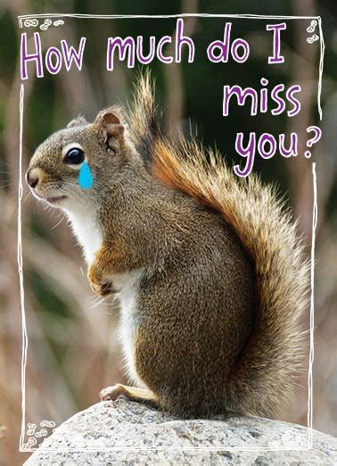 Funny Miss You Ecards Cardfool
