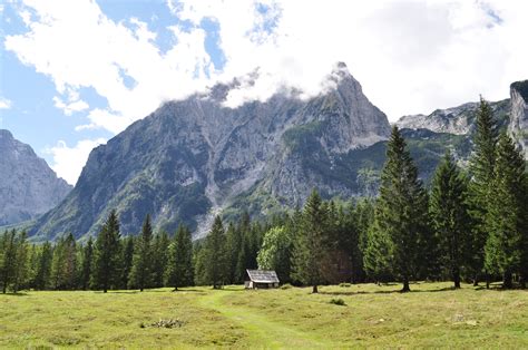 Brown And Black Trees Painting Mountains Grass Cabin Forest Hd