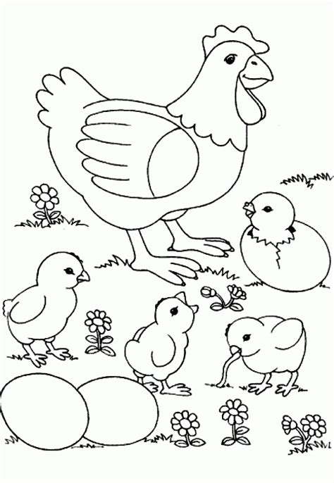 Curiosidade sobre galinha para colorir. Desenhos de Galinhas para Colorir e Imprimir - Desenhos ...