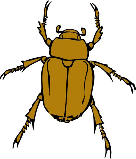 Beetle Bug Clip Art 106990 Free Svg Download 4 Vector