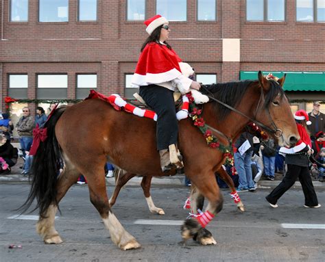 Braymere Custom Saddlery Ridden Horses In The Christmas Carriage Parade