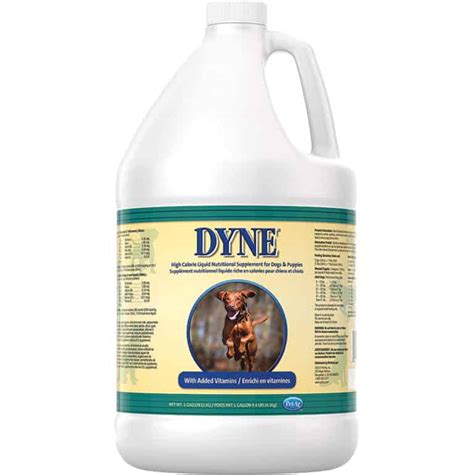 The vizsla is affectionate and intelligent. Dyne High Calorie Liquid for Dogs & Puppies Gallon