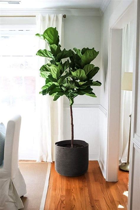 We've wanted to do it. 25 Mid-Century Modern Decor Pieces to Transform Your Home ...
