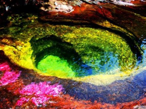 Cano Cristales Columbia Beautiful Places In The World Rainbow