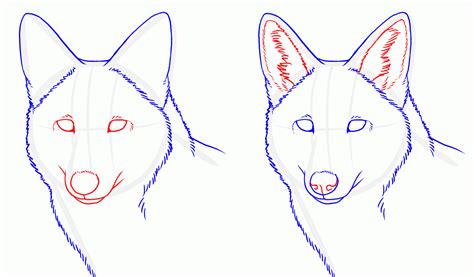 How To Draw Animal Ears Step By Step Guide