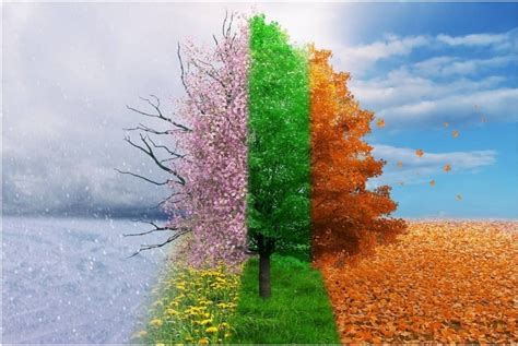 The Four Seasons How Do They Occur Arabiaweather Arabiaweather