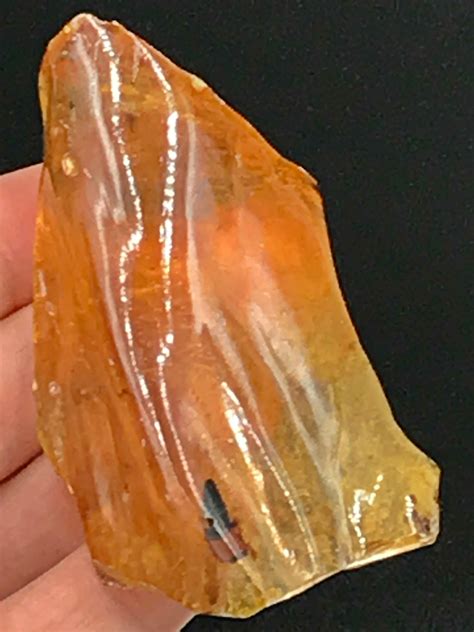 Amber Rock Fossil Natural Collectible Mineral Specimen