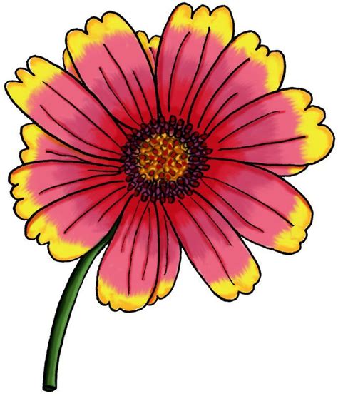 Télécharger 647 art asie asiatique fleur chinois dessin fleurs illustration. Gaillarde - Boutchoupitchou Illustrations