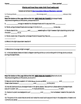 A person could use jelly for cytoplasm and a painted ping pong ball for the nucleus, and cardboard for the cell membrane. Plants and Photosynthesis web-quest. Answers @ www ...