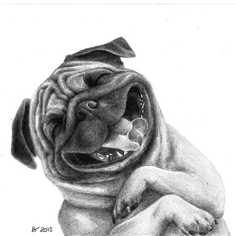 Drawing Of A Laughing Dog Realism Animal Fine Arts Art By