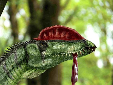 10 Facts About Dilophosaurus
