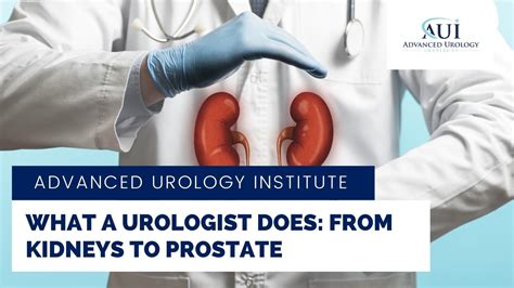 What A Urologist Does From Kidneys To Prostate Advanced Urology Institute