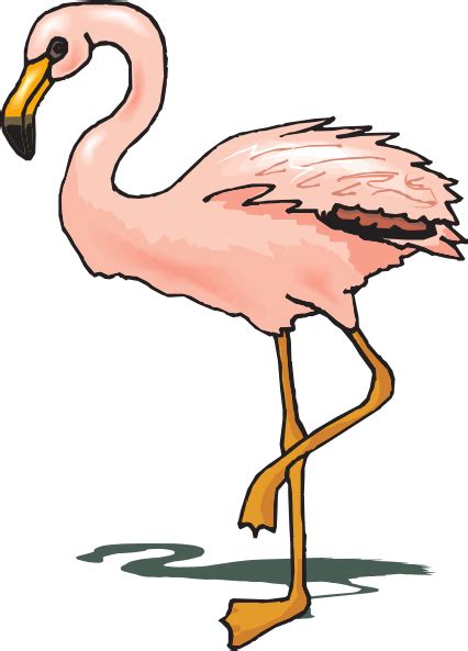 Standing Flamingo Clip Art At Vector Clip Art Online
