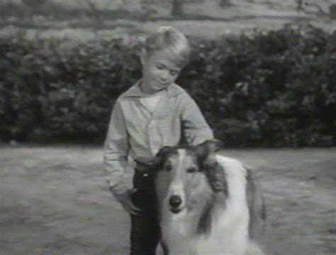 [ br] [dvd] série timmy and lassie as aventuras de lassie 1954 1974