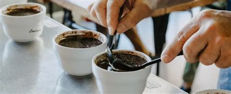 Koffie Cupping Wat Is Het En Hoe Voer Je Het Uit Era Of
