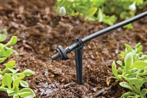 10 Best Drip Irrigation Systems Of 2024 Best Garden Tips