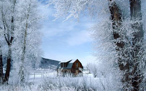 Download Winter Wonderland Dreamy Snow Scene Wallpaper No Desktop By