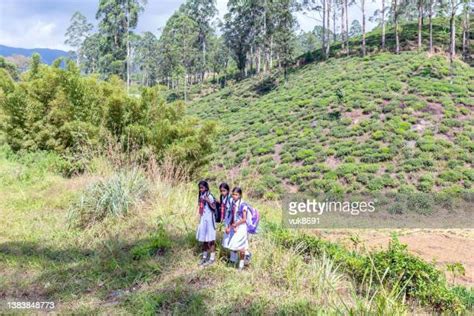 Sri Lanka School Girls Stock Fotos Und Bilder Getty Images