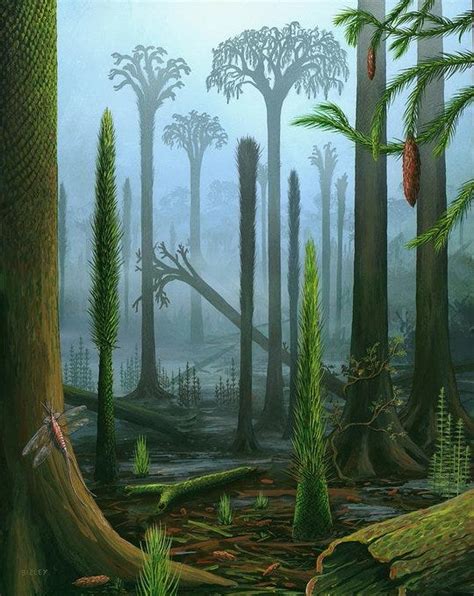 Giant Prehistoric Trees Fact Or Fiction By Cubsjaw