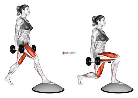 Dumbbell Split Squat Front Foot Elevanted With Bosu Ball Female