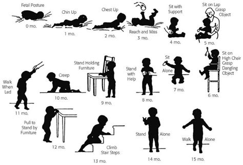 Development Stages Baby Development Child Development Stages