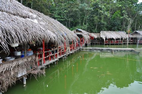 Hulu langat (kuala lumpur, malezya) otellerinde ve konaklama yerlerinde harika indirimler. waisekmeow: Vege Fish Farm Thai Restaurant , Hulu Langat