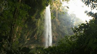 Waterfall Jungle Rainforest Tropical Nature Sky Birds