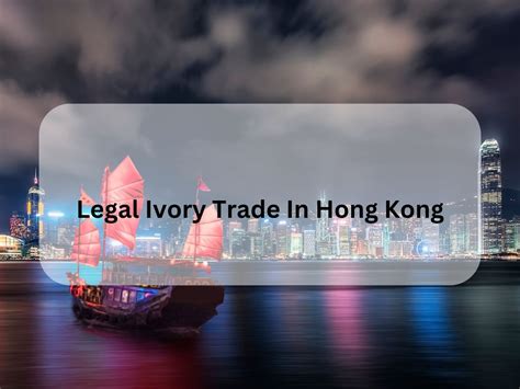 Legal Ivory Trade In Hong Kong Typhoon Hong Kong