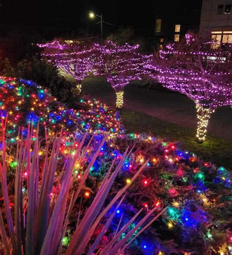 West Seattle Blog… | WEST SEATTLE CHRISTMAS LIGHTS: 12,000 of them!