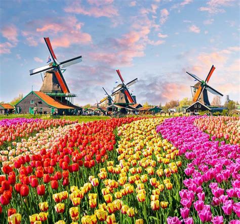 Netherlands: COVID-19 Entry Requirements Travelers Need To Know