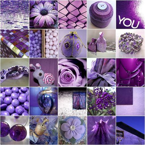 Purple All Things Purple Purple Lilac Purple