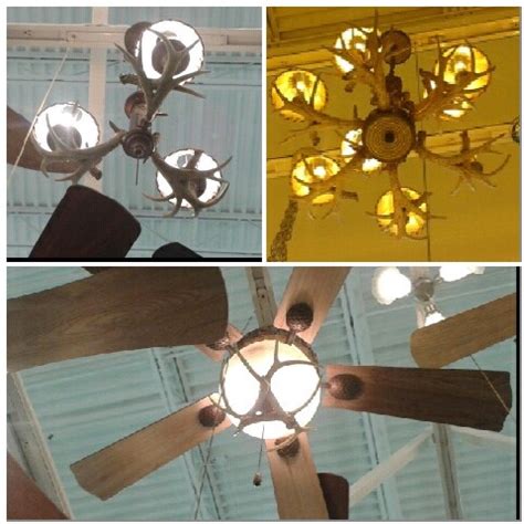 The female gets the winner with the strongest antlers. Deer antler lights and ceiling fan at Menards... I WILL ...