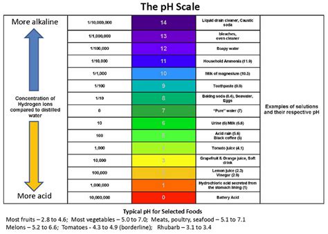 What Is Ph College Of Agriculture Forestry And Life Sciences