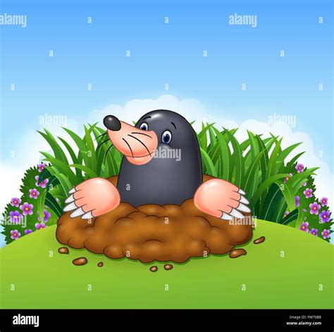 Cartoon Funny Mole Stock Vector Art And Illustration Vector Image