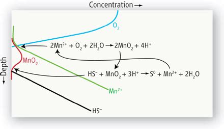It is also crucial to choose effective reducing agents for the. Manganese Redox Chemistry Revisited | Science