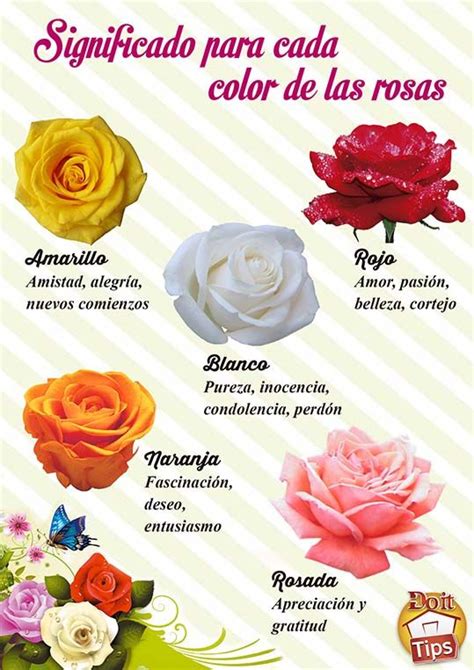 Significado Del Color De Las Rosas Significado De Los Colores