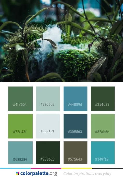 Rainforest Color Palette