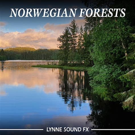 norwegian forests