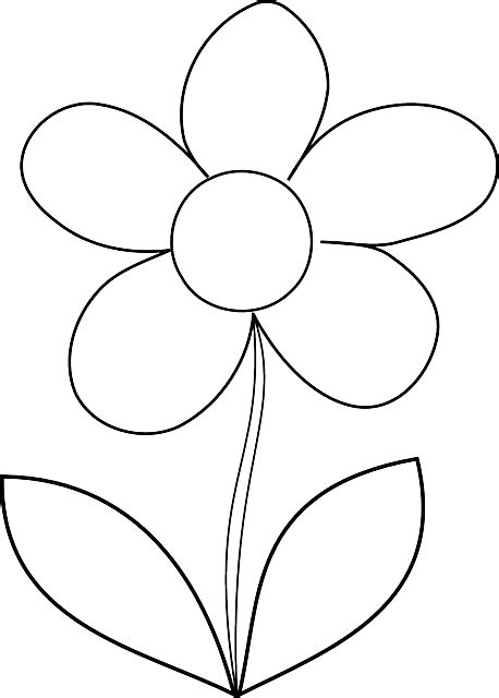 The original illustration of the spring pictures to color will appear thanks to your imagination. Flower Daisy Spring · Free vector graphic on Pixabay