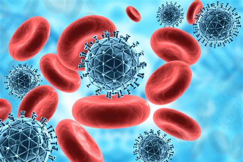 Infecciones Virales En El Reino Unido Virus Y Bacterias Peligrosos Que